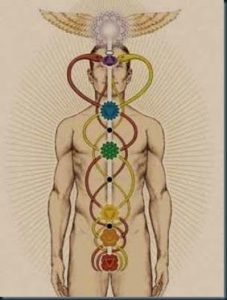 Estudo de Chakras