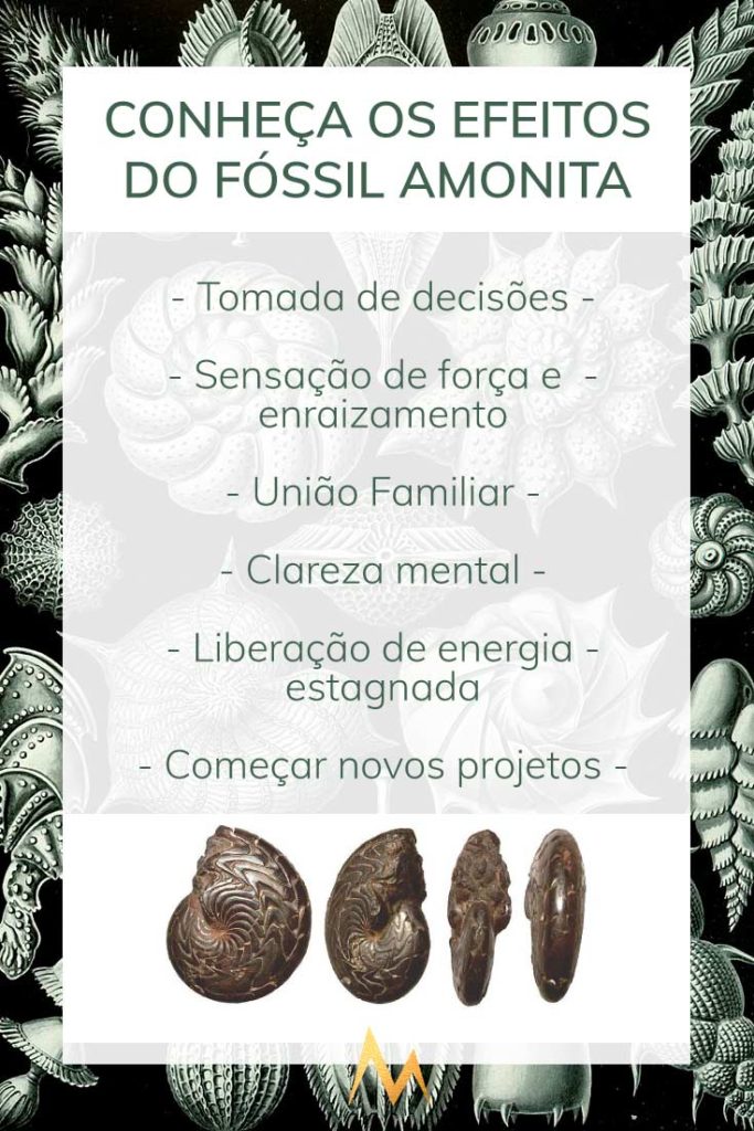 Efeitos e Beneficios do Fossil Amonita Mamacoca Joalheria